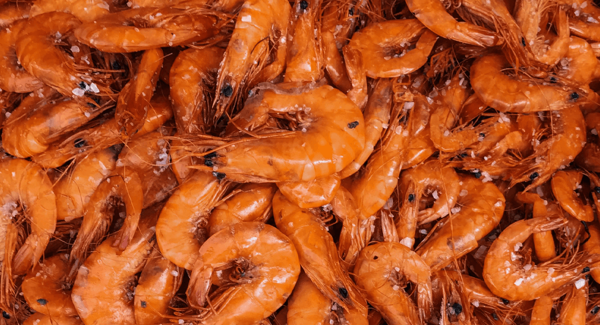 seafood monster book coupon virginia beach virginia