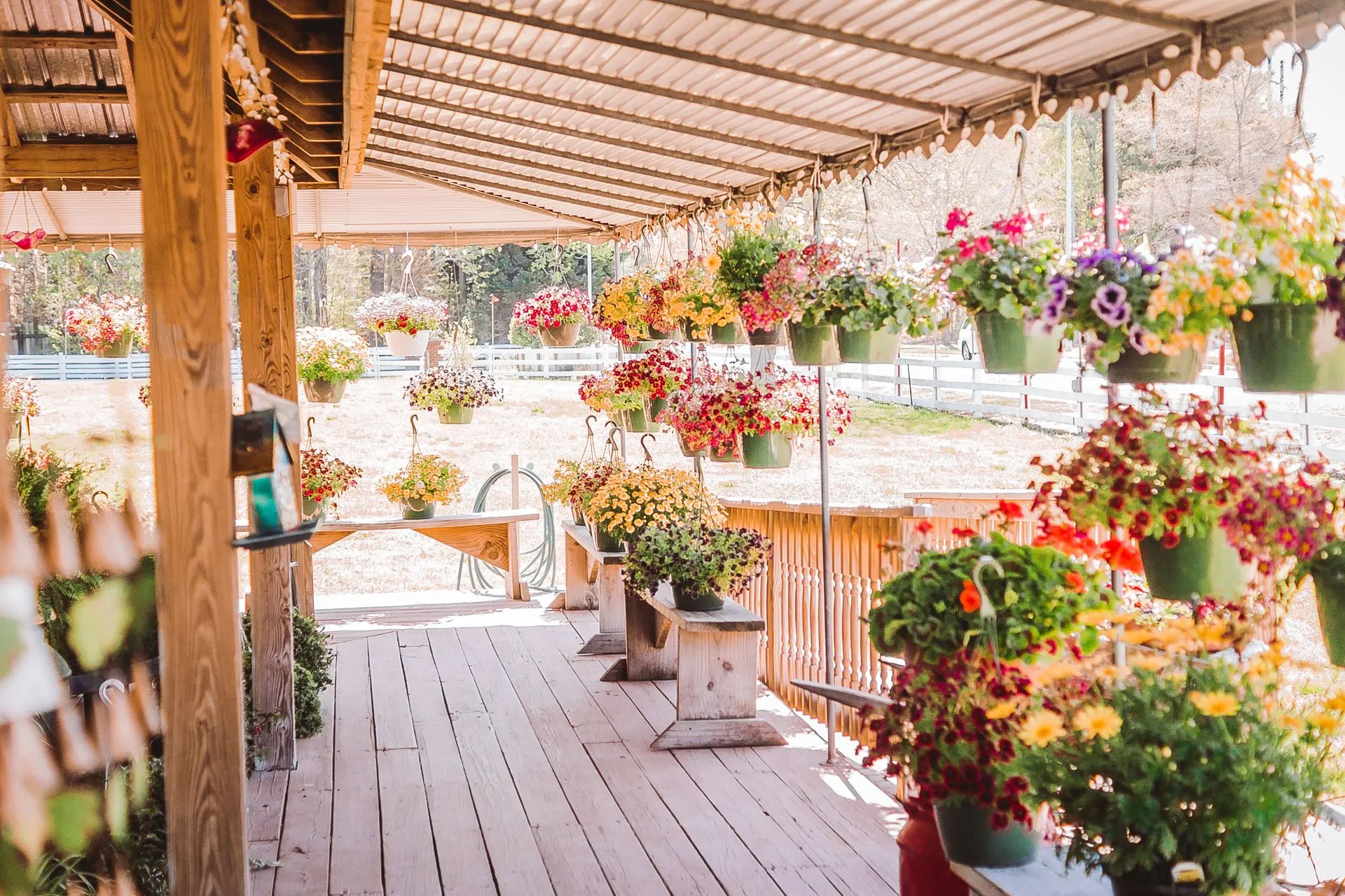 Hunt Club Farm, Virginia Beach